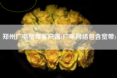 郑州广电宽带客户端(广电网络包含宽带)