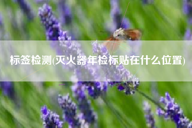 标签检测(灭火器年检标贴在什么位置)
