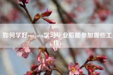 如何学好css(java学习毕业后能参加哪些工作)