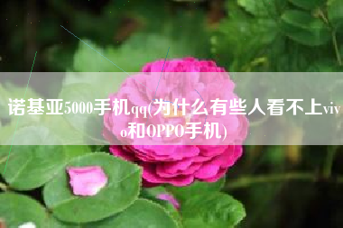 诺基亚5000手机qq(为什么有些人看不上vivo和OPPO手机)