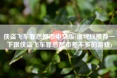 侠盗飞车罪恶都市中文版(谁可以推荐一下跟侠盗飞车罪恶都市差不多的游戏)