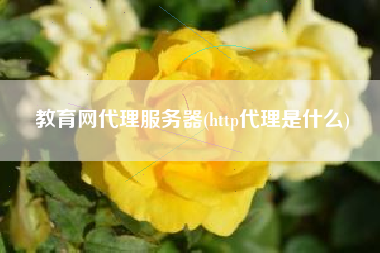 教育网代理服务器(http代理是什么)