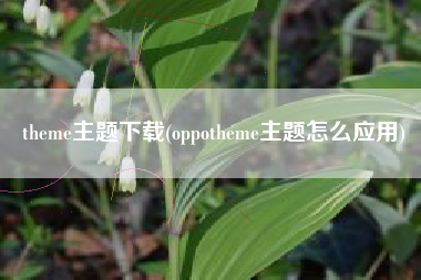 theme主题下载(oppotheme主题怎么应用)