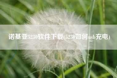 诺基亚5230软件下载(5230如何usb充电)