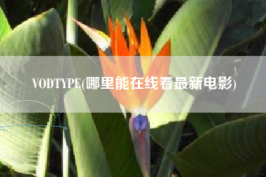 VODTYPE(哪里能在线看最新电影)