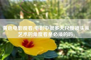 黄色电影观看(电影中很多大尺度镜头从艺术的角度看是必须的吗)