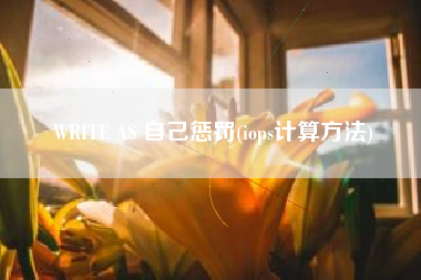 WRITE AS 自己惩罚(iops计算方法)