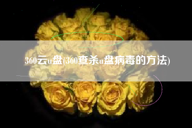 360云u盘(360查杀u盘病毒的方法)