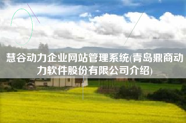慧谷动力企业网站管理系统(青岛鼎商动力软件股份有限公司介绍)