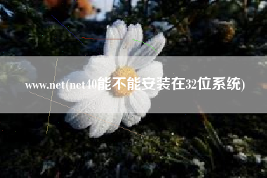 www.net(net40能不能安装在32位系统)