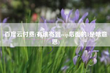 百度云付费(有谁寄到svip后面的1是啥意思)