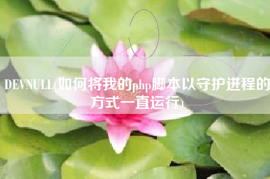 DEVNULL(如何将我的php脚本以守护进程的方式一直运行)