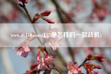 www.av170.com(F35是怎样的一款战机)