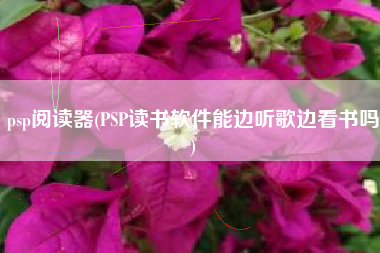 psp阅读器(PSP读书软件能边听歌边看书吗)