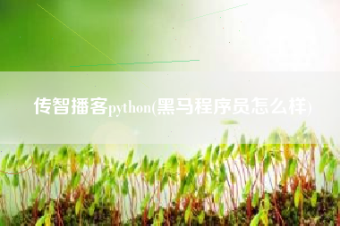 传智播客python(黑马程序员怎么样)