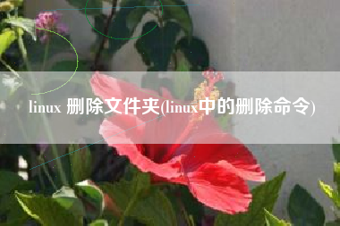 linux 删除文件夹(linux中的删除命令)