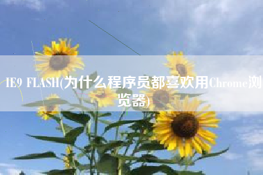 IE9 FLASH(为什么程序员都喜欢用Chrome浏览器)