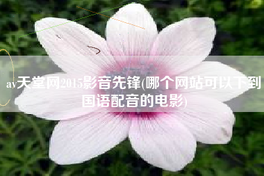 av天堂网2015影音先锋(哪个网站可以下到国语配音的电影)