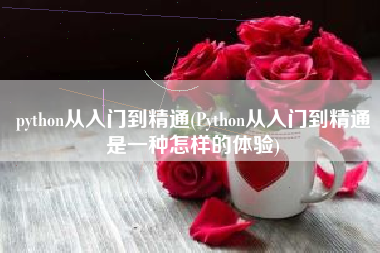 python从入门到精通(Python从入门到精通是一种怎样的体验)