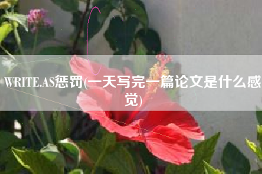 WRITE.AS惩罚(一天写完一篇论文是什么感觉)