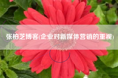 详细阅读:张柏芝博客(企业对新媒体营销的重视) 张柏芝博客(企业对新媒体营销的重视)