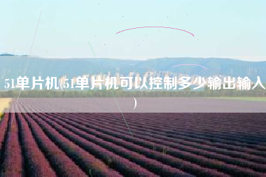 51单片机(51单片机可以控制多少输出输入)
