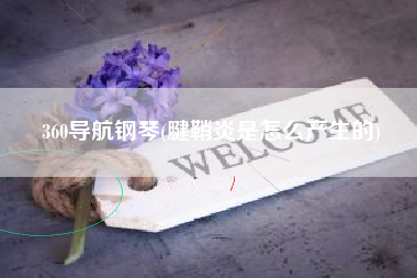 360导航钢琴(腱鞘炎是怎么产生的)