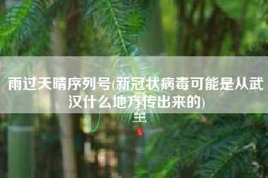 雨过天晴序列号(新冠状病毒可能是从武汉什么地方传出来的)