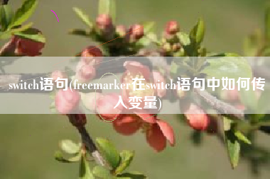 switch语句(freemarker在switch语句中如何传入变量)