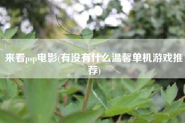 来看psp电影(有没有什么温馨单机游戏推荐)