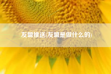 友盟推送(友盟是做什么的)