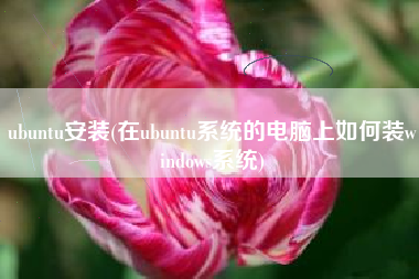 ubuntu安装(在ubuntu系统的电脑上如何装windows系统)