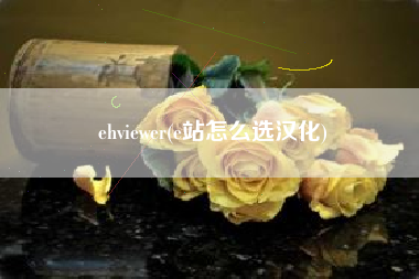 ehviewer(e站怎么选汉化)