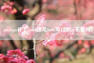 amdcpu补丁(amd速龙860k可以装xp系统吗)