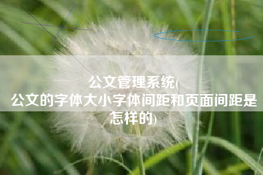 公文管理系统(
公文的字体大小字体间距和页面间距是怎样的) 公文管理系统(
公文的字体大小字体间距和页面间距是怎样的)