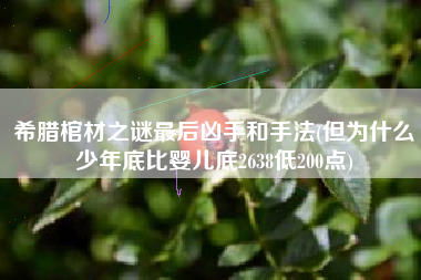 希腊棺材之谜最后凶手和手法(但为什么少年底比婴儿底2638低200点)