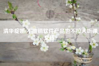 清华腚姐(不推销软件产品也不拉人听课交钱)