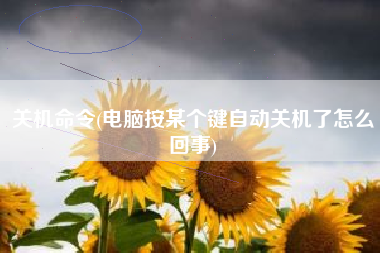 关机命令(电脑按某个键自动关机了怎么回事)