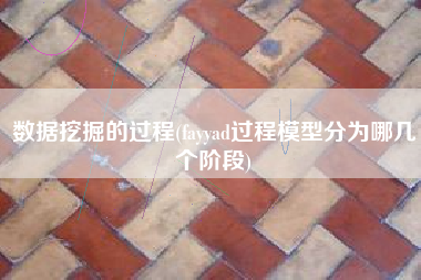 数据挖掘的过程(fayyad过程模型分为哪几个阶段)