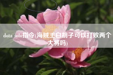 dota solo指令(海贼王白胡子可以打败两个大将吗)