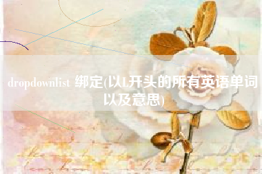 dropdownlist 绑定(以L开头的所有英语单词以及意思)
