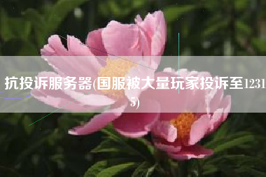 抗投诉服务器(国服被大量玩家投诉至12315)