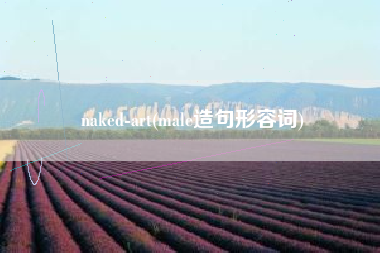 naked-art(male造句形容词)