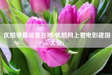 优酷弹幕设置在哪(优酷网上看电影建国大业)