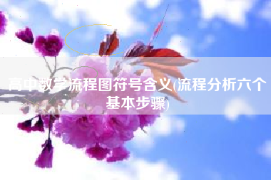高中数学流程图符号含义(流程分析六个基本步骤)