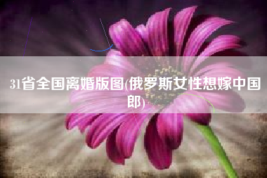 31省全国离婚版图(俄罗斯女性想嫁中国郎)