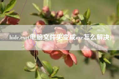 hide.exe(电脑文件夹变成exe怎么解决)