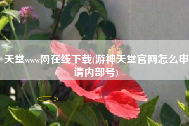 天堂www网在线下载(游神天堂官网怎么申请内部号)