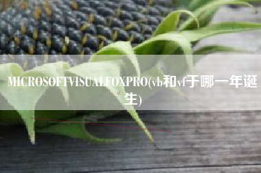 MICROSOFTVISUALFOXPRO(vb和vf于哪一年诞生)