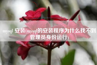 mysql 安装(mysql的安装程序为什么找不到管理员身份运行)
